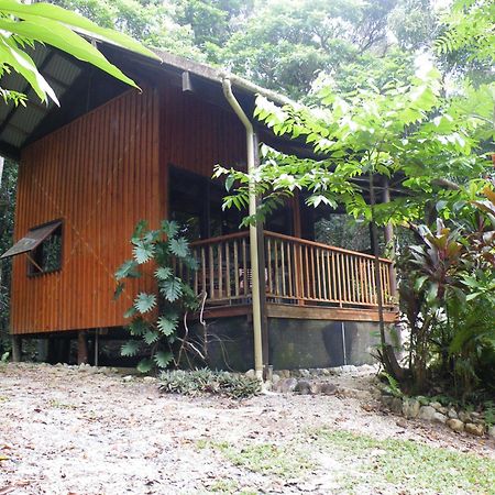 Epiphyte B & B Cow Bay Zewnętrze zdjęcie