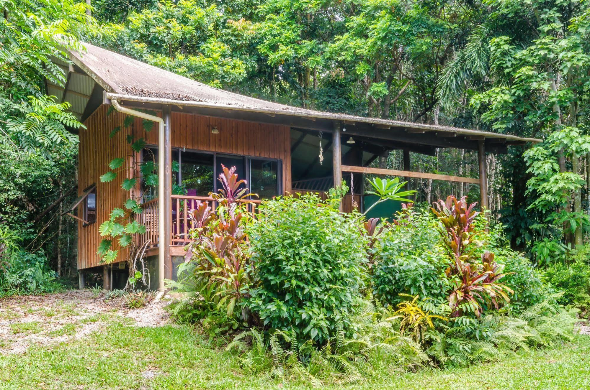 Epiphyte B & B Cow Bay Zewnętrze zdjęcie